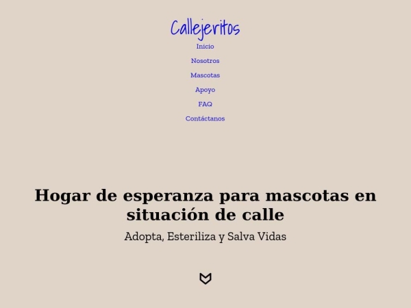 callejeritos.com