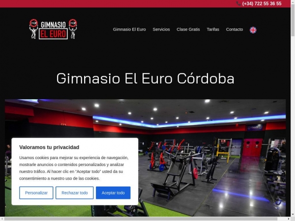 gimnasioeleuro.com